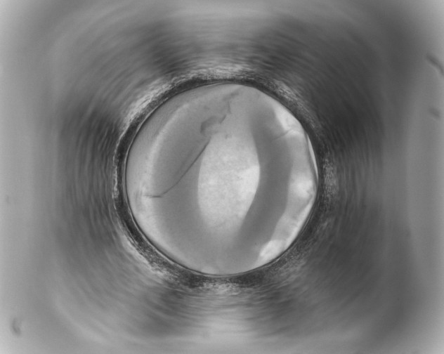 X0000102020582200808151317