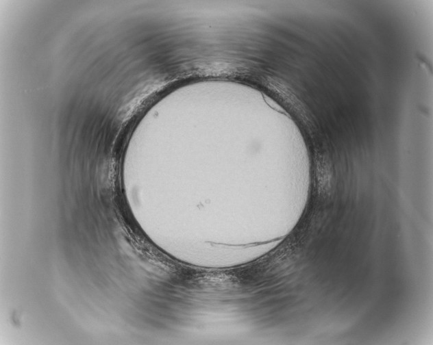 X0000102020583200808151317