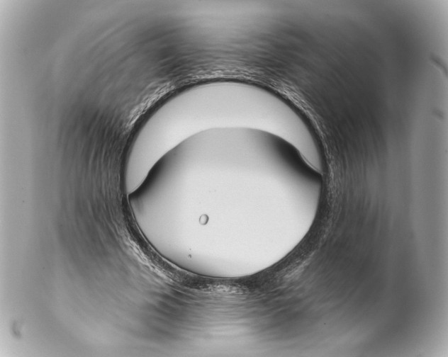 X0000102020585200808151317