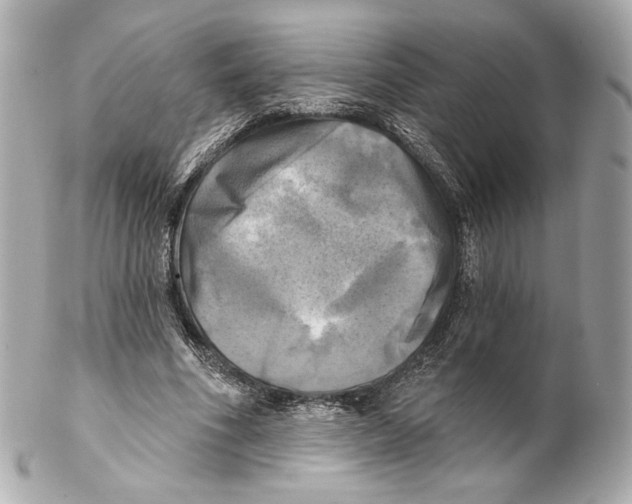 X0000102020586200808151317