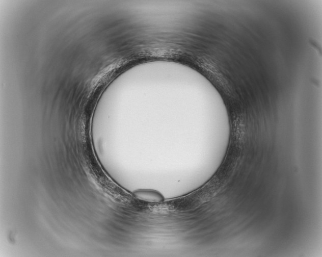 X0000102020587200808151317