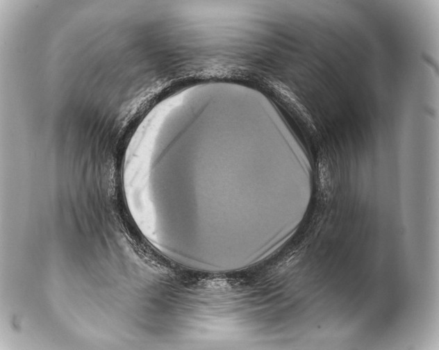 X0000102020588200808151317