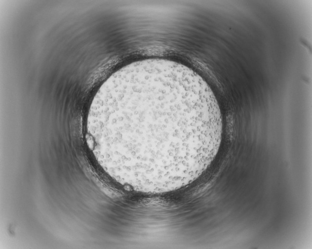 X0000102020589200808151317