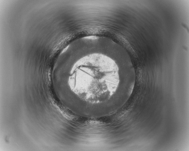 X0000102020590200808151317