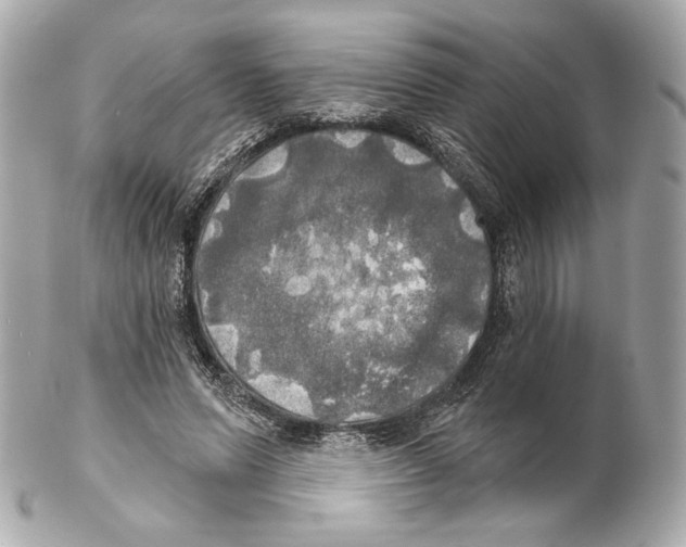X0000102020591200808151317