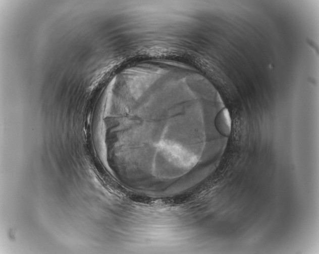 X0000102020592200808151317