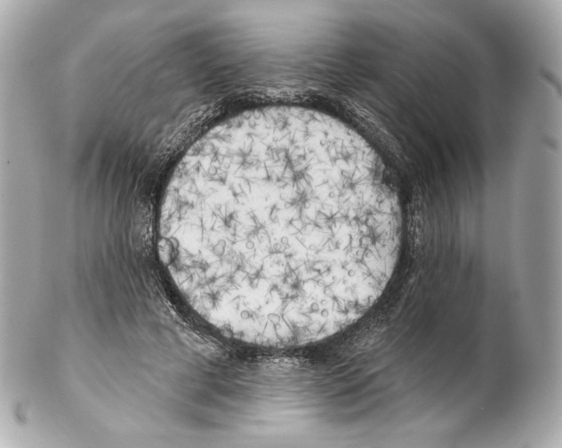 X0000102020593200808151317