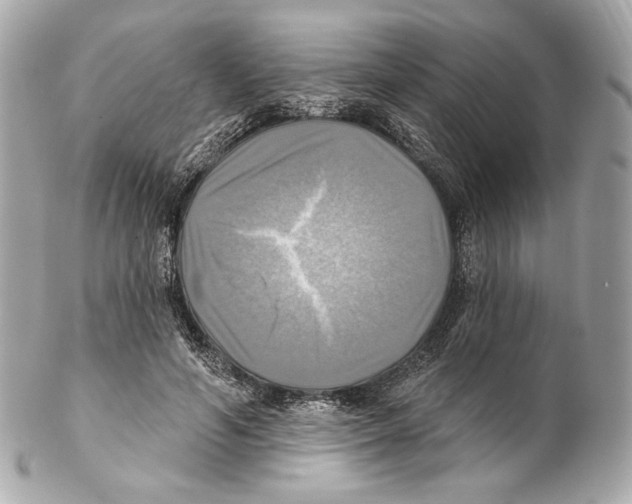 X0000102020594200808151317