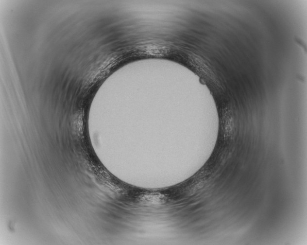 X0000102020595200808151317