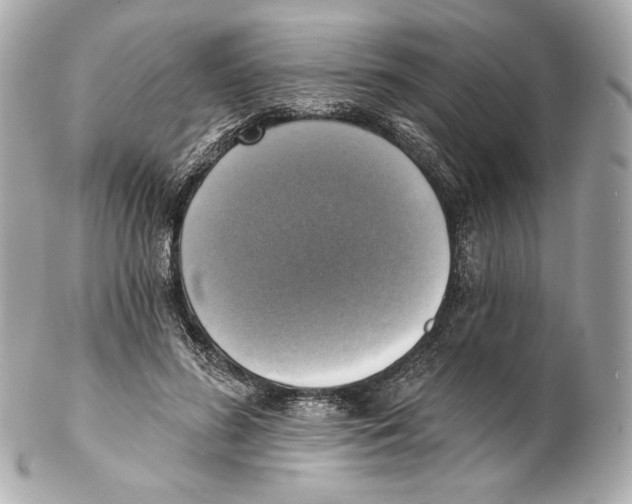 X0000102020596200808151317