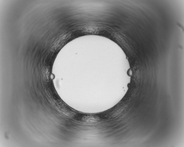 X0000102020597200808151317