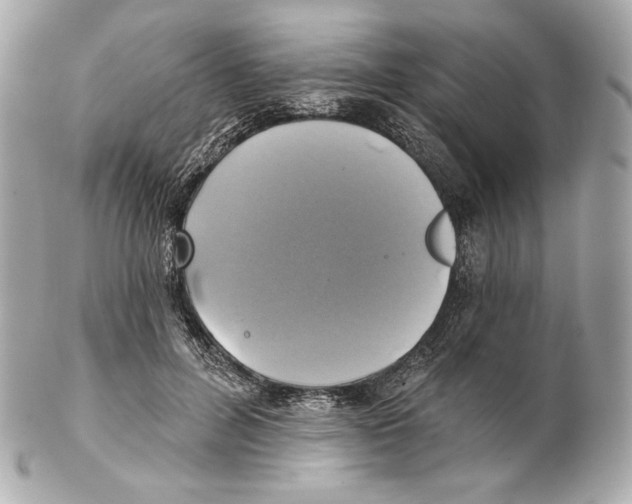 X0000102020600200808151317