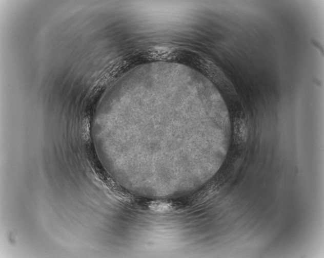 X0000102020602200808151317