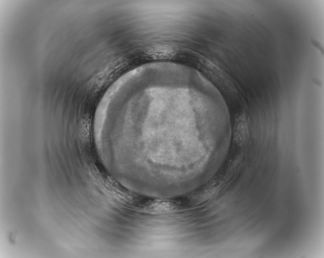 X0000102020604200808151317