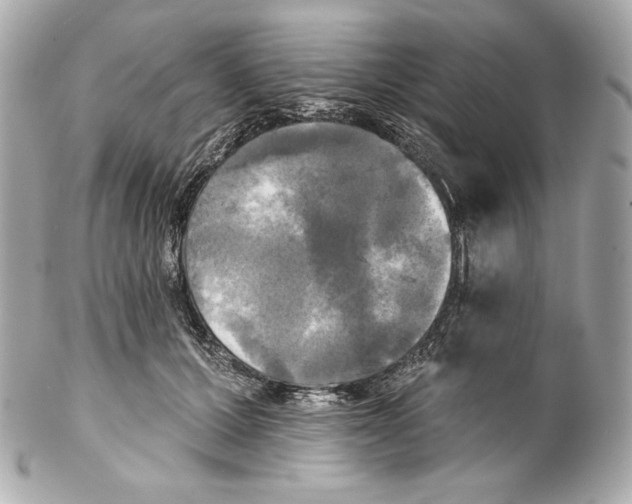 X0000102020607200808151317