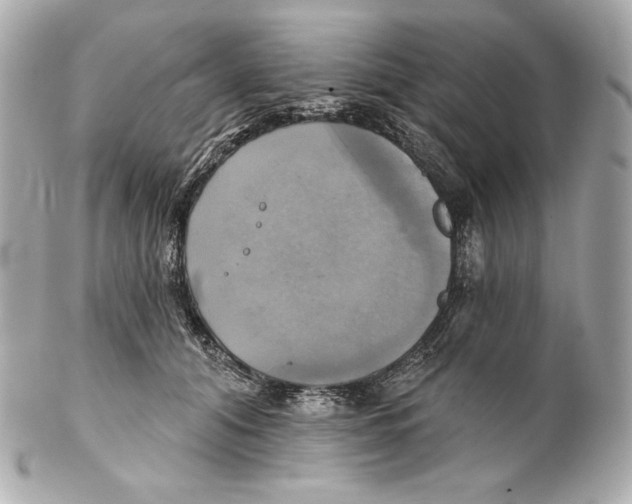 X0000102020608200808151317