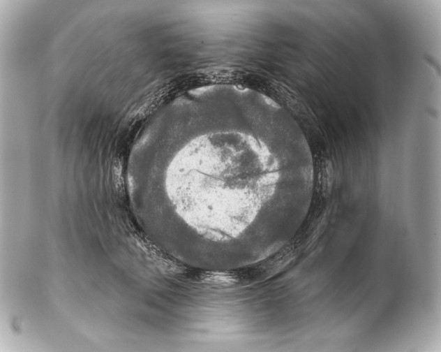 X0000102020610200808151317