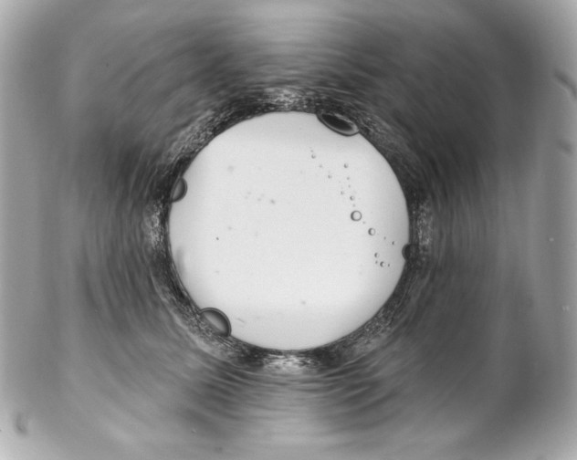 X0000102020611200808151317