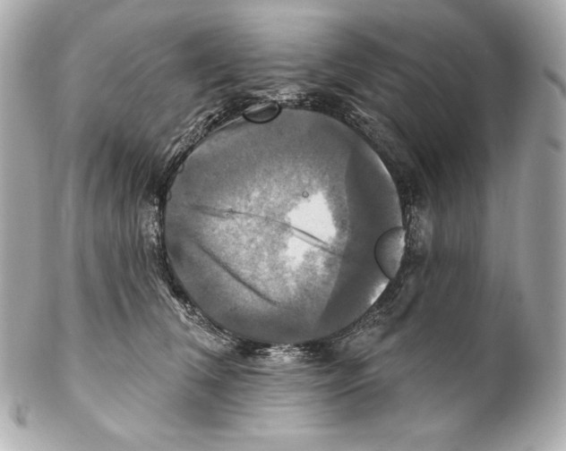 X0000102020612200808151317