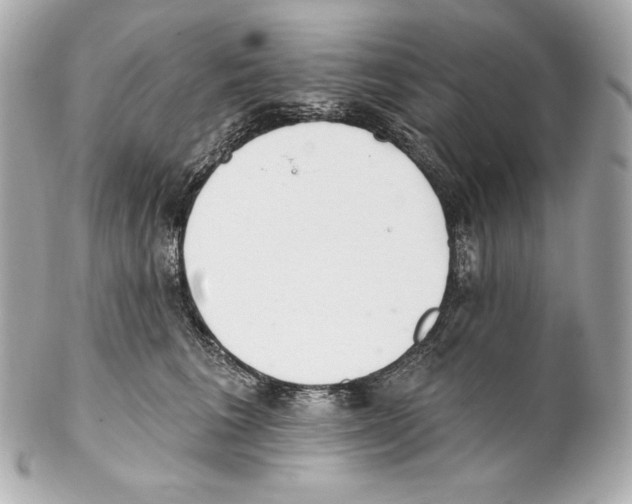 X0000102020613200808151317