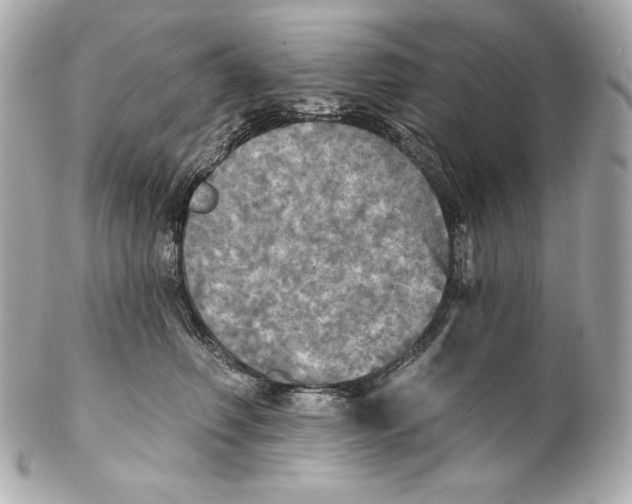 X0000102020614200808151317