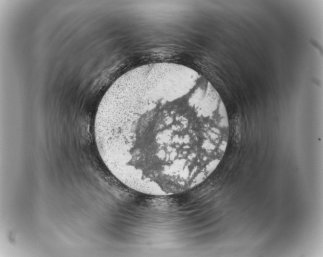 X0000102020615200808151317