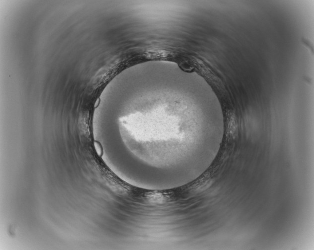 X0000102020616200808151317