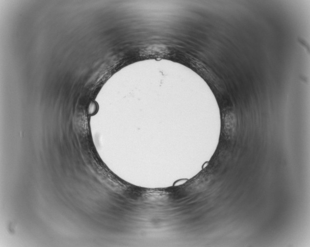 X0000102020617200808151317