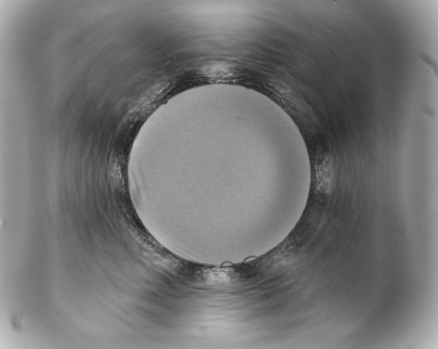 X0000102020618200808151317