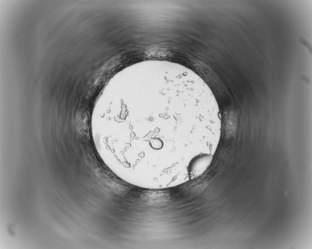 X0000102020619200808151317