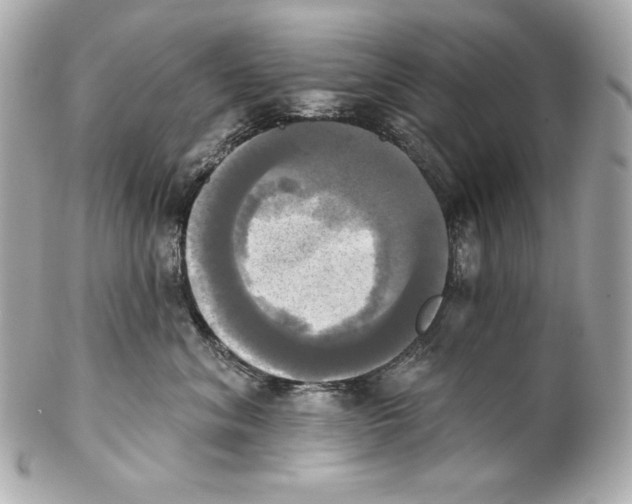 X0000102020620200808151317