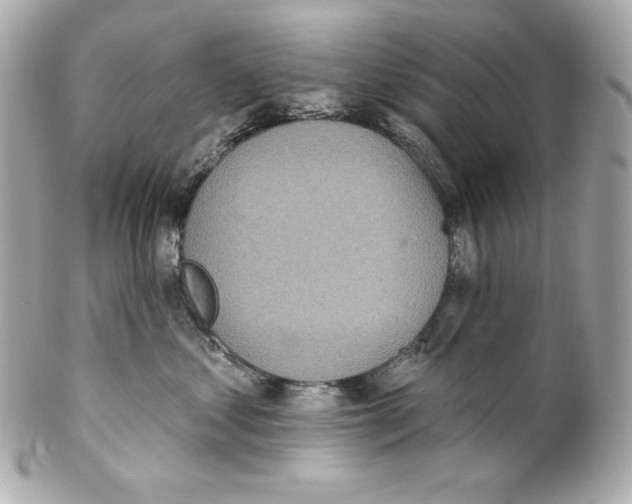 X0000102020621200808151317