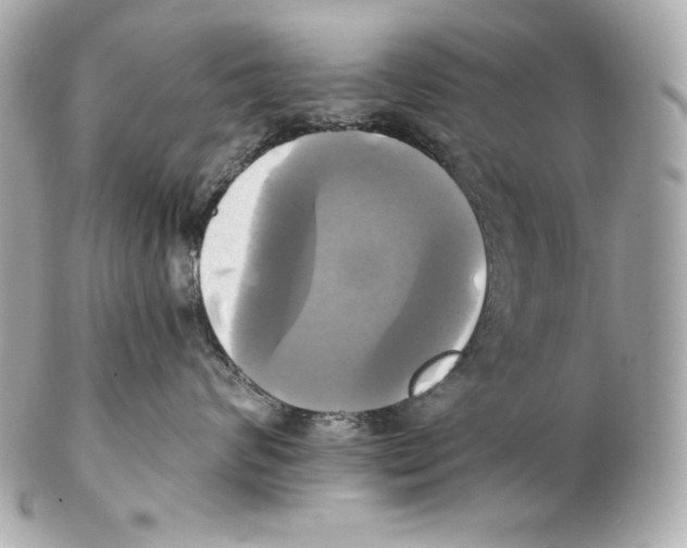 X0000102020624200808151317