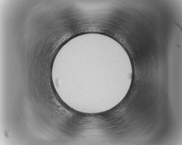 X0000102020625200808151316