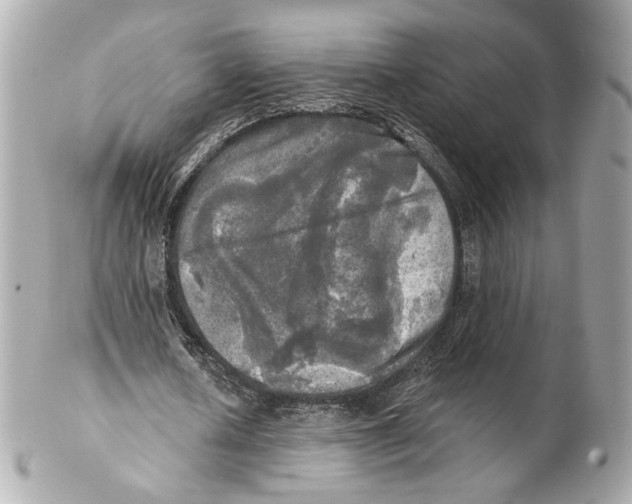 X0000102020626200808151316