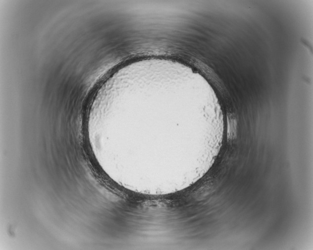 X0000102020627200808151316