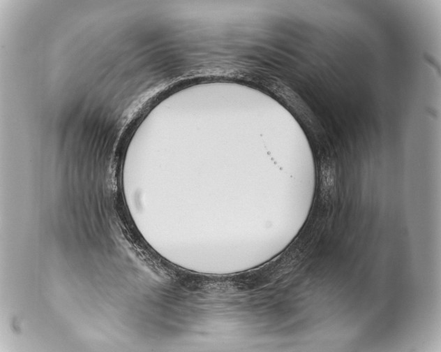 X0000102020628200808151316