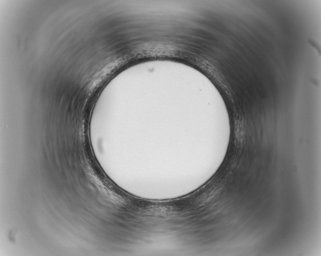 X0000102020629200808151316