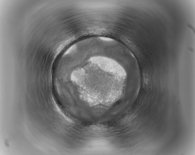 X0000102020630200808151316