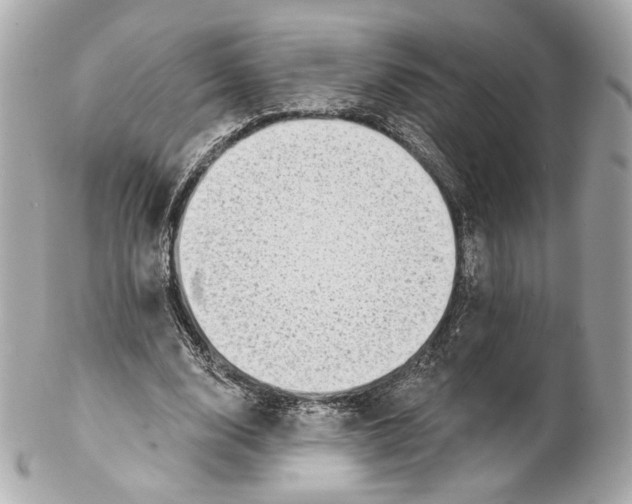 X0000102020632200808151316