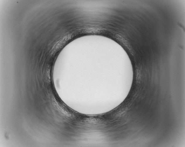 X0000102020633200808151316