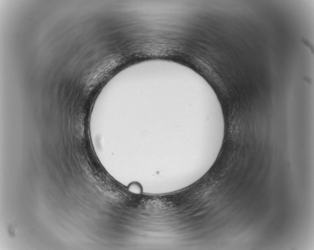 X0000102020635200808151316