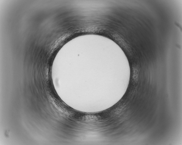 X0000102020636200808151316