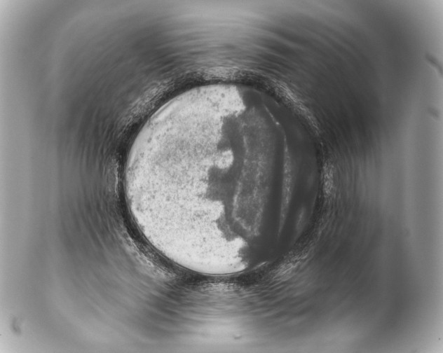 X0000102020637200808151316