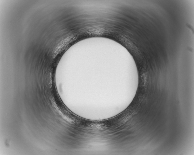 X0000102020638200808151316