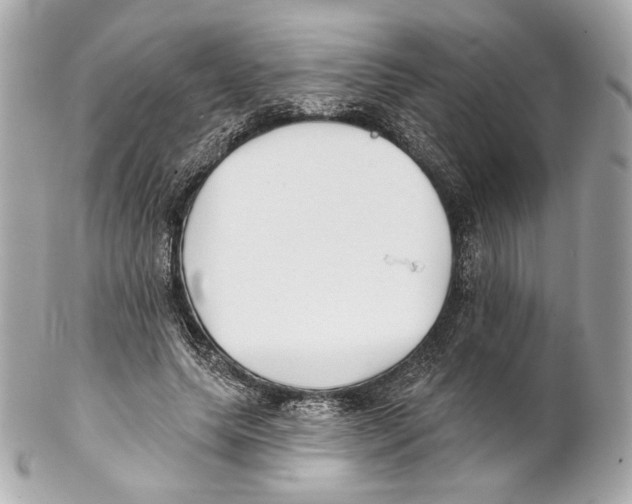 X0000102020639200808151316