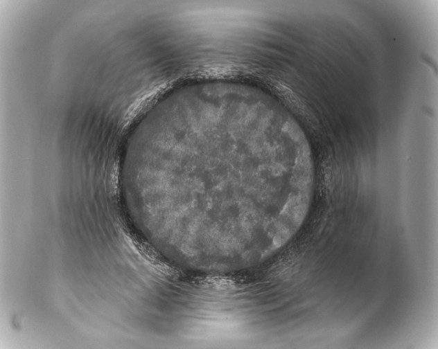 X0000102020640200808151316