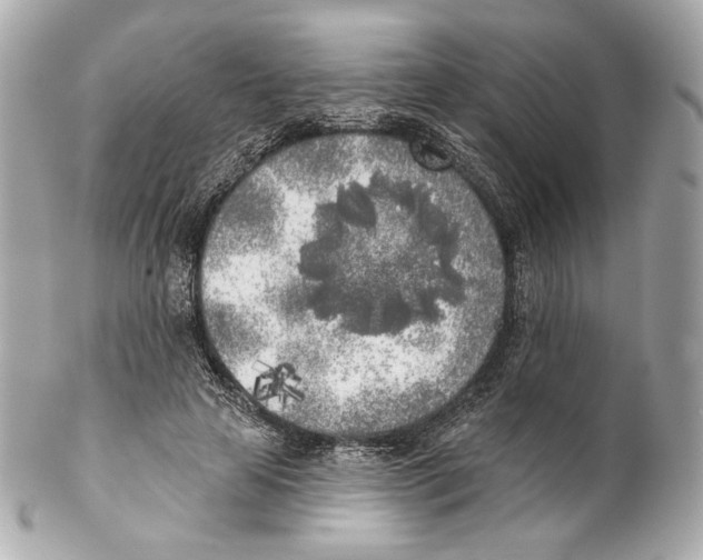 X0000102020641200808151316