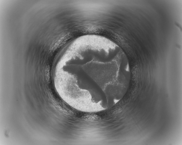 X0000102020642200808151316