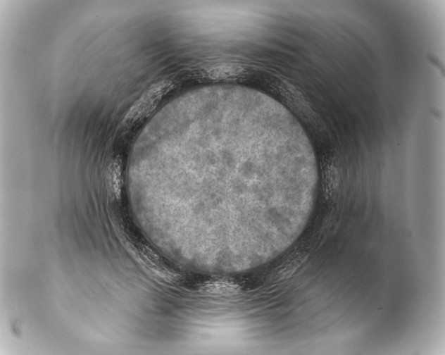 X0000102020644200808151316